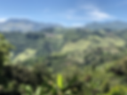 Colombia, Jerico Madre Laura.webp